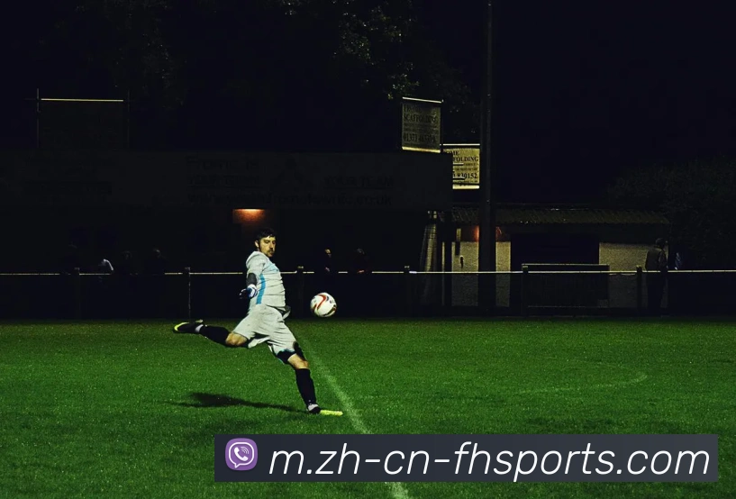 体育下注平台生态图